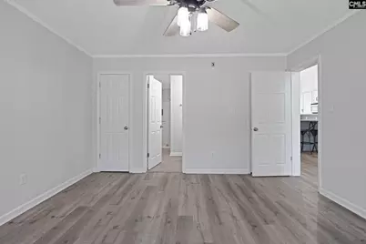 1735 Old Hilton Road, Chapin, SC 29036 - Photo 15