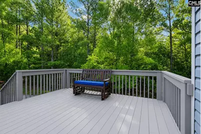 1735 Old Hilton Road, Chapin, SC 29036 - Photo 5