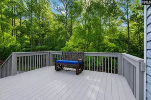 1735 Old Hilton Rd, Chapin, SC 29036 - Photo 5