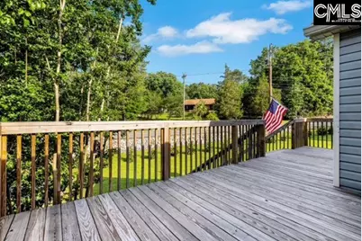 1735 Old Hilton Road, Chapin, SC 29036 - Photo 3