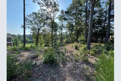208 Crickentree Drive, Blythewood, SC 29016 - Photo 3