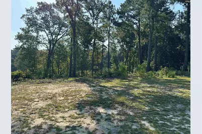 208 Crickentree Drive, Blythewood, SC 29016 - Photo 1