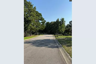 208 Crickentree Drive, Blythewood, SC 29016 - Photo 5