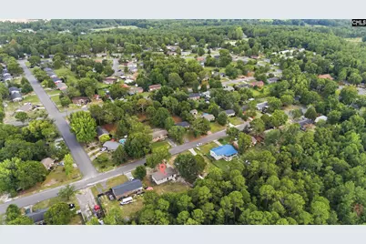 2105 Sandy Run Drive, Gaston, SC 29053 - Photo 31