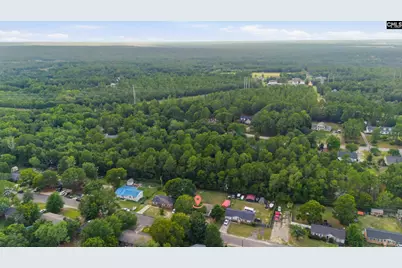 2105 Sandy Run Drive, Gaston, SC 29053 - Photo 27