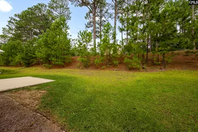205 Long Iron Court, West Columbia, SC 29172 - Photo 35