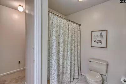 120 Rook Branch Lane, Columbia, SC 29209 - Photo 31