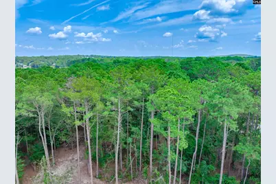 81 Woodcreek Road, Elgin, SC 29045 - Photo 5