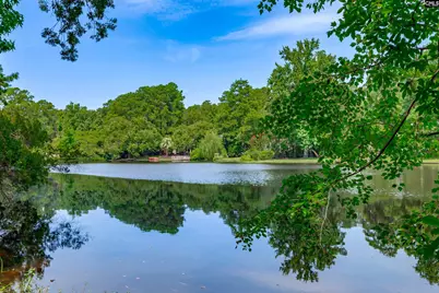 3439 Overcreek Road, Columbia, SC 29206 - Photo 65