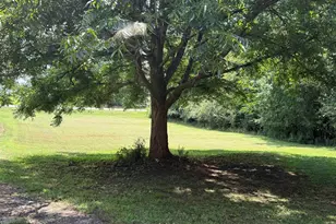 2867 Sc Hwy 219, Prosperity, SC 29127 - Photo 23