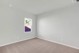 317 Mont Hvn Pl, Lexington, SC 29072 - Photo 29