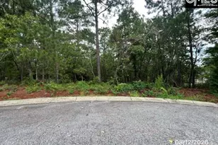4 Lost Dog Ct, Elgin, SC 29045 - Photo 1