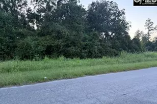 0 Angelica St, Santee, SC 29142 - Photo 1