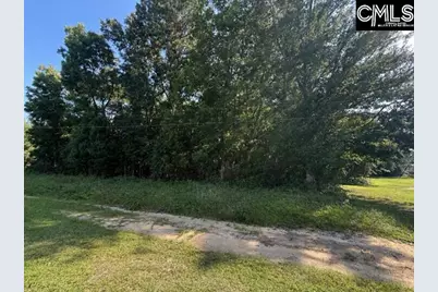 0 Dora Road, Orangeburg, SC 29115 - Photo 1
