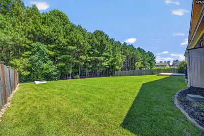 115 Rainbow Shad Way, Lexington, SC 29072 - Photo 15