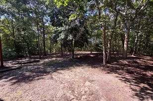 168 Hollow Tree Ct, Lugoff, SC 29078 - Photo 17