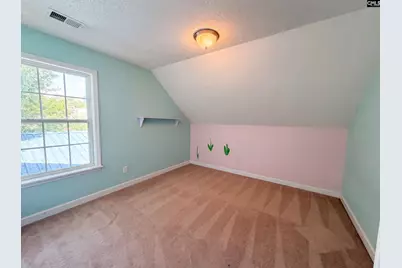168 Hollow Tree Court, Lugoff, SC 29078 - Photo 13