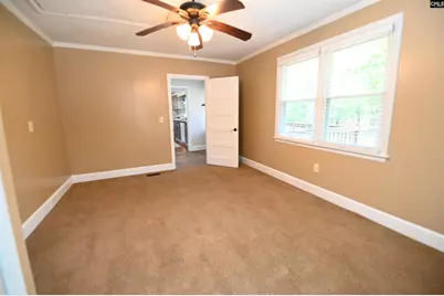 217 Forest Bickley Road, Chapin, SC 29036 - Photo 13