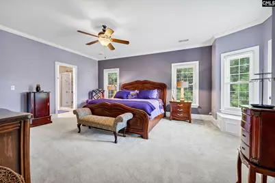 417 Bosque Circle, Blythewood, SC 29016 - Photo 13