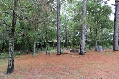 70 Ballymore Court, Columbia, SC 29229 - Photo 51