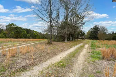 49 Nance Street, Newberry, SC 29108 - Photo 3