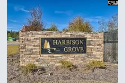 315 High Grove Way, Columbia, SC 29210 - Photo 29