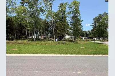 Lot 78 Elms Spinney Lane #78, Chapin, SC 29036 - Photo 19
