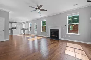 425 Maria Posada Ct, Chapin, SC 29036 - Photo 9