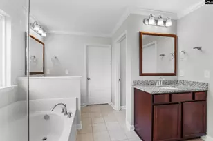 425 Maria Posada Ct, Chapin, SC 29036 - Photo 19
