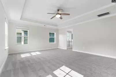 425 Maria Posada Court, Chapin, SC 29036 - Photo 17