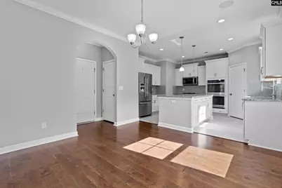 425 Maria Posada Court, Chapin, SC 29036 - Photo 11