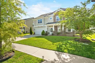 425 Maria Posada Ct, Chapin, SC 29036 - Photo 3