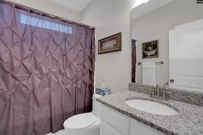 69 Palmetto Palm Court, Blythewood, SC 29016 - Photo 29