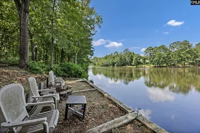 120 Talon Way, Blythewood, SC 29016 - Photo 53