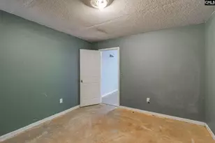550 St Pauls Church Rd, Gilbert, SC 29054 - Photo 53
