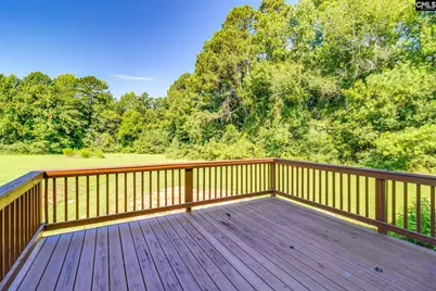 550 Saint Pauls Church Road, Gilbert, SC 29054 - Photo 59
