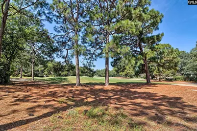 224 Mallet Hill Road, Columbia, SC 29223 - Photo 5