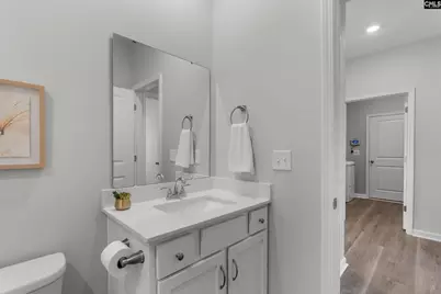 754 Clementine Run, Gilbert, SC 29054 - Photo 25