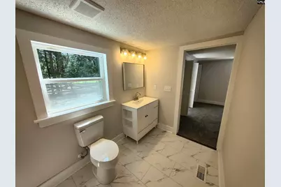 804 Sandfield Road, Blythewood, SC 29016 - Photo 11