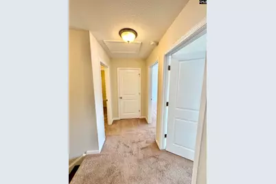 234 Hawkins Creek Road, Blythewood, SC 29016 - Photo 25