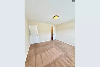 234 Hawkins Creek Road, Blythewood, SC 29016 - Photo 29