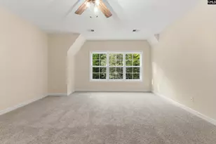 1287 Muddy Ford Rd, Chapin, SC 29036 - Photo 35