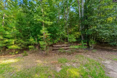 1287 Muddy Ford Road, Chapin, SC 29036 - Photo 47