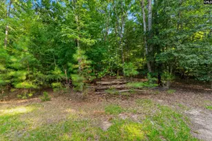 1287 Muddy Ford Rd, Chapin, SC 29036 - Photo 47