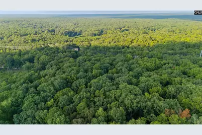 1287 Muddy Ford Road, Chapin, SC 29036 - Photo 51