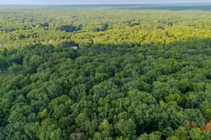 1287 Muddy Ford Rd, Chapin, SC 29036 - Photo 51