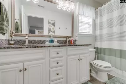 71 Texas Black Way, Elgin, SC 29045 - Photo 17