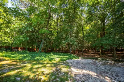 212 Farmington Court, Lexington, SC 29072 - Photo 53