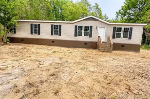103 New Hope Church Rd, Pelion, SC 29123 - Photo 3