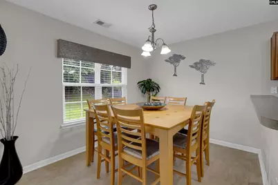 516 Foxstone Drive, Chapin, SC 29036 - Photo 13
